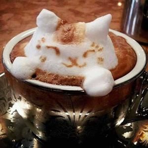 Meet your Posher, Ika